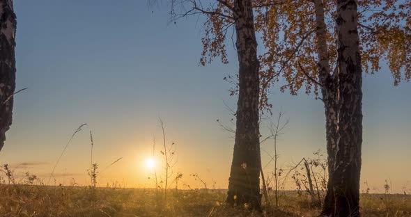 Meadow Timelapse at the Summer or Autumn Time