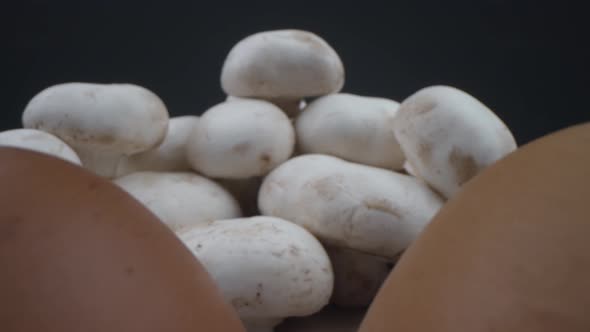 Mushrooms On The Background