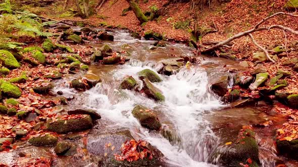 Footage of Wonderful Mountain Stream in the Shypit Karpat National Park