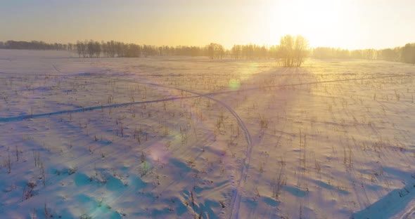 Aerial Drone View of Cold Winter Landscape with Arctic Field, Trees Covered with Frost Snow and