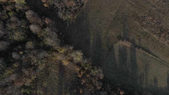 Endless forest over the hill Eastern Serbia  by autumn 4K drone video