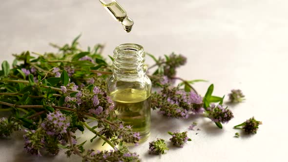 Thyme Essential Oil in a Small Bottle