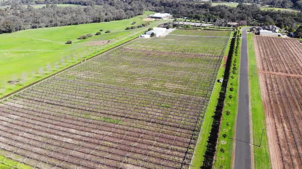 Aerial View of a Farmland