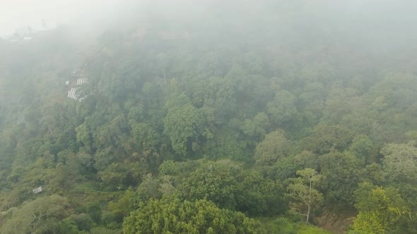 Rainforest in Cloud BaliIndonesia