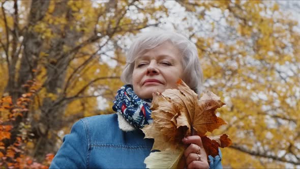 Elderly Woman Walks in the Park in Autumn and Relaxes.