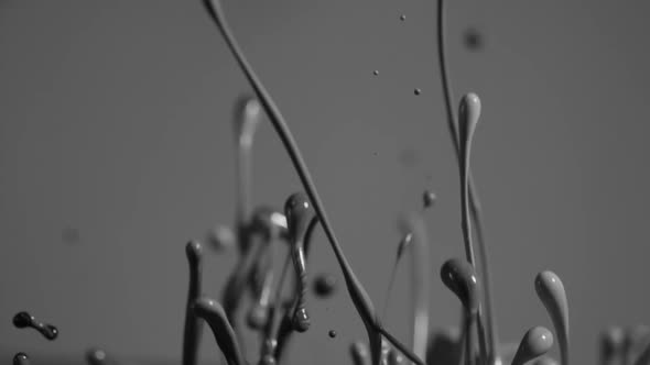 Black And White Paint Splashing Together In Abstract Shapes