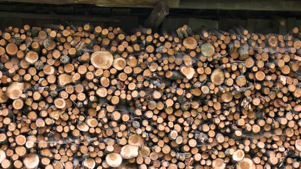 Stacked Firewood Heap in Barn