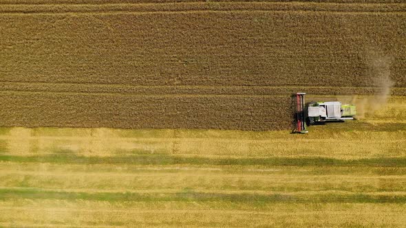 Harvester combine working in the countryside. 