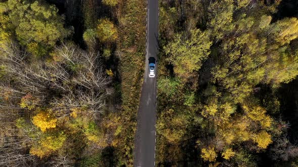 Flying Above a White Car Driving on Colorful Autumn Forest Road
