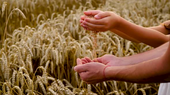 Child and Father in a Wheat Field