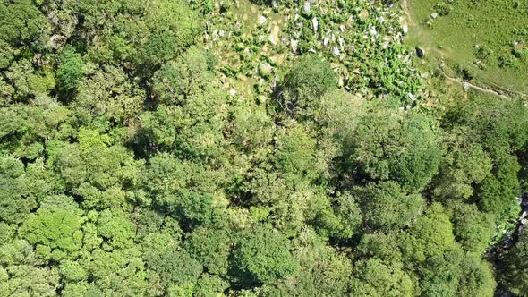 Birdseye view aerial wide shot of wistmans wood, with very small forward trackingement, Dartmoor, En