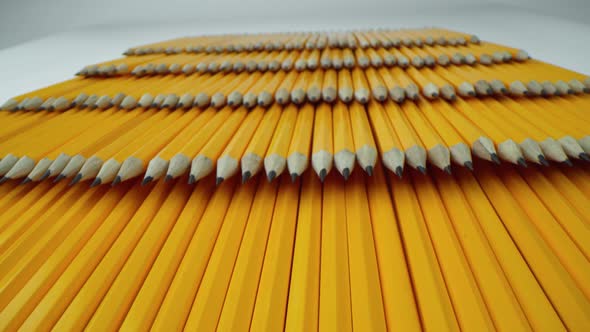 Many Yellow Pencils Lie in Rows