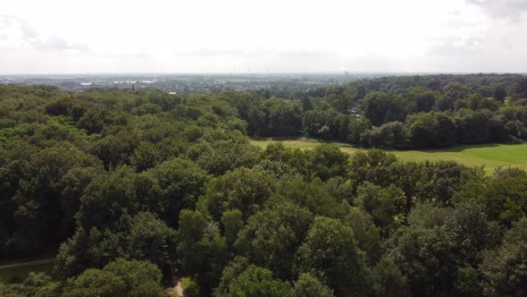 Aerial view of a big forest in national park the Veluwe in the Netherlands