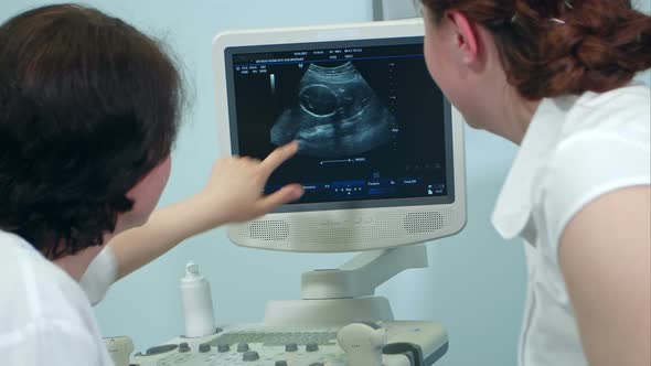 Gynecologist and Pregnant Patient Looking at Ultrasonogram Showing Fetus