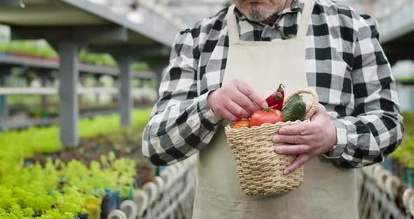 Portrait of Unrecognizable Senior Caucasian Man Holding Basket with Organic Vegetables. Mature