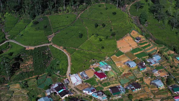 Aerial view of houses in countryside near Nuwara Eliya, Sri Lanka