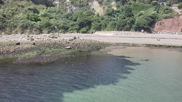 Zoom out view of the coastline in Seaton England. White chalk cliffs with its greenery is visible. A