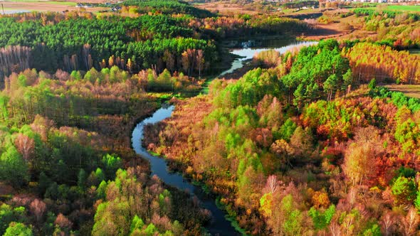 Breathtaking aerial view of autumn forest and small river, Poland