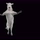 57 White Horse Dancing 4K - VideoHive Item for Sale