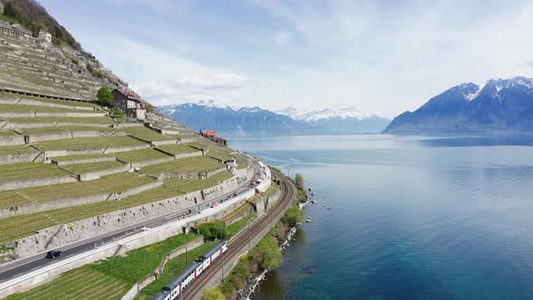 Drone footage flyover of a vineyard with a train travelling along the shore of a lake in Switzerland