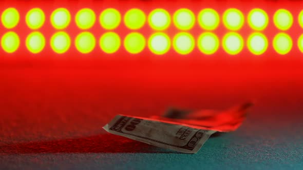 Woman Taking Dollar Banknote, Red Lights on Background, Prostitution Concept