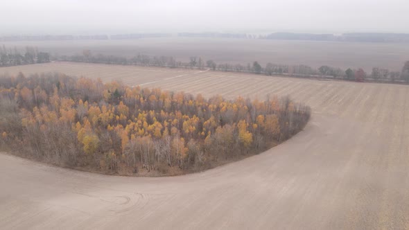 Empty Plowed Field in Autumn Aerial View