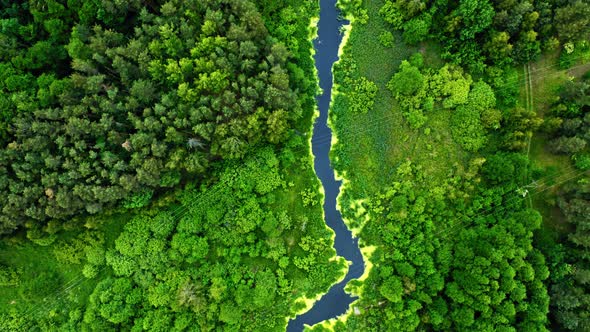 Top view of green algae on river in spring, Poland