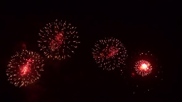 Colorful Firework display at night on sky background