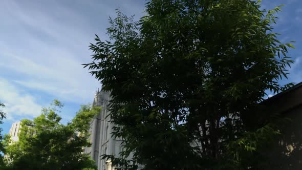 Walking along Temple Square in Salt Lake City and looking up to see the Temple emerge from the trees