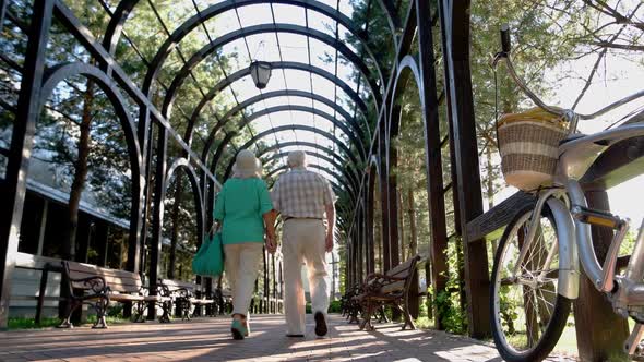 Senior Couple Walking on Alley