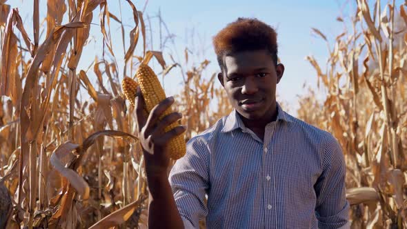 Young African American Man Holding a Head of Corn in His Hand