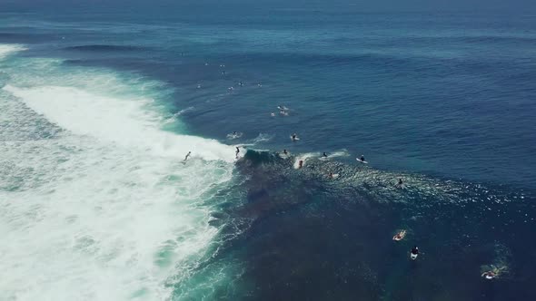 Group of Surfers Doing Surf Stunts and Enjoys Riding the Waves on Summer.