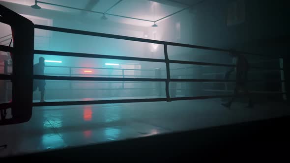 Boxing ring