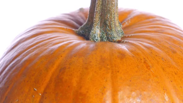 Ripe Pumpkin Closeup on White Background