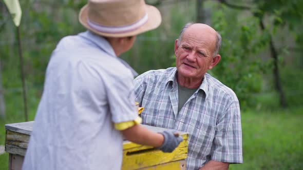 Beekeeping Elderly Beekeeper with His Grandson Paint Hives for Bees with Yellow Paint Then Give Each