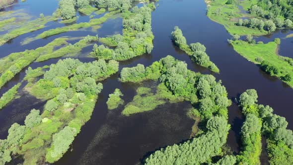 Islands on the Volga, Aerial View