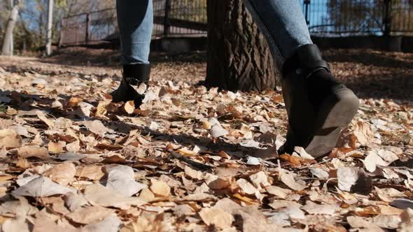 Female Legs Walking on Fallen Autumn Leaves in the Park in Slow Motion