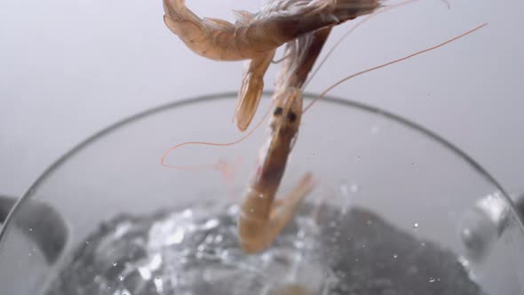 Camera follows cooking raw shrimp in boiling water. Slow Motion.