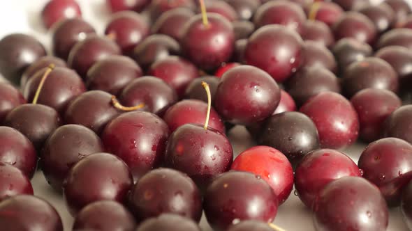 Fresh fruit Prunus cerasifera close-up 4K 2160p 30fps UltraHD tilting footage - Cherry plum on table