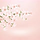 Cherry Tree - VideoHive Item for Sale