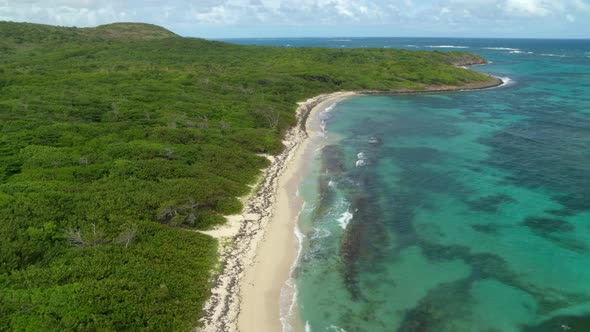 Aerial of beautiful turquoise sea along green forest on coast, Cap Macre