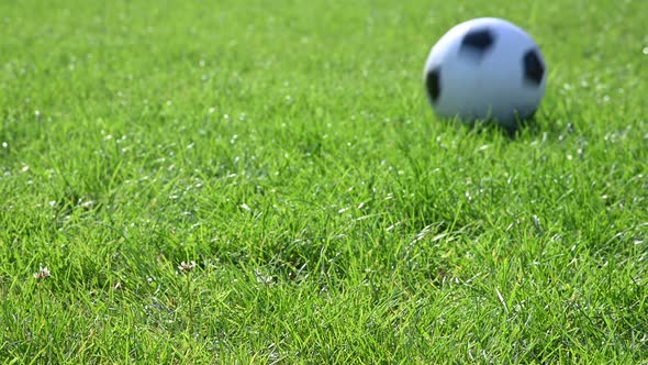 Football ball rolling on green grass field