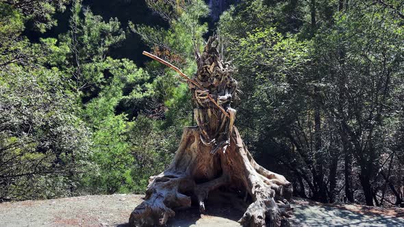 Large wooden sculpture in recreation national park Goynuk Canyon