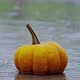 Halloween Pumpkin - VideoHive Item for Sale