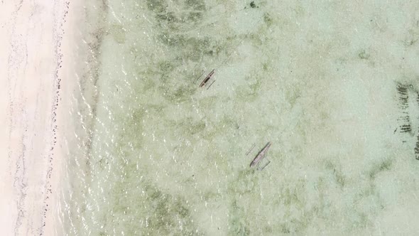 Tanzania Vertical Video  Boat Boats in the Ocean Near the Coast of Zanzibar Aerial View