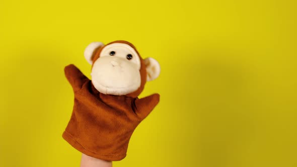 Soft Puppet Toy on Hand on Yellow Background