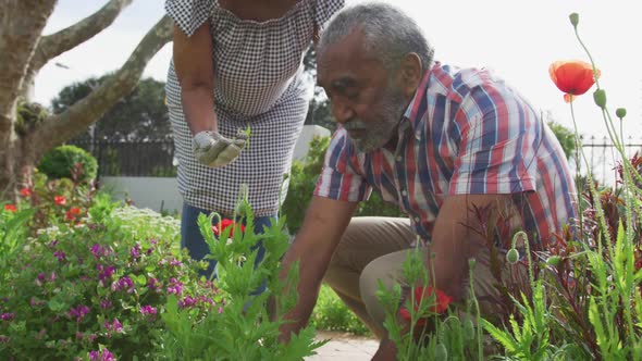 Animation of african american senior couple gardening, planting flowers