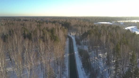 Aerial Motion Over Birch and Pine Wood Crossed By Empty Road