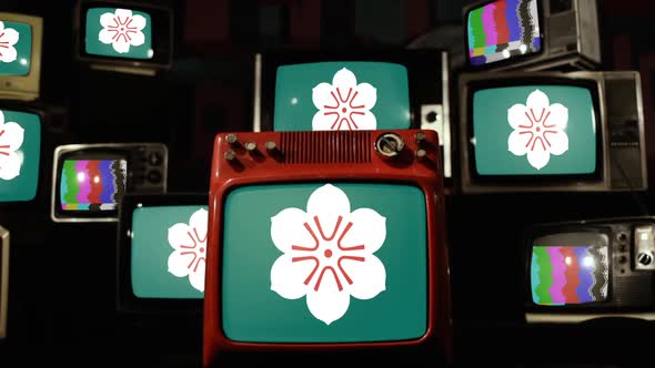 Flag Of Saga Prefecture, Japan, and Retro TVs.