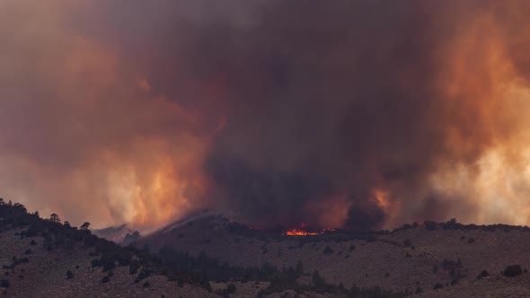 Time Lapse Forest Fire Burning Mountainside